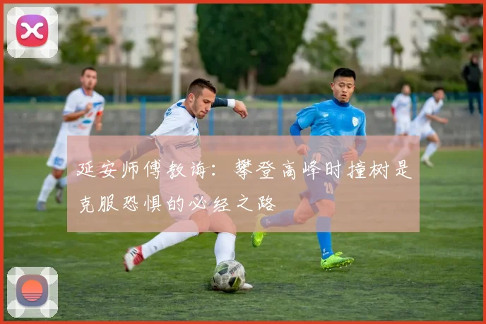 延安师傅教诲：攀登高峰时撞树是克服恐惧的必经之路